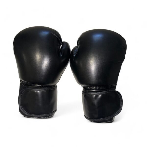 gants de boxe pas cher futurixgym