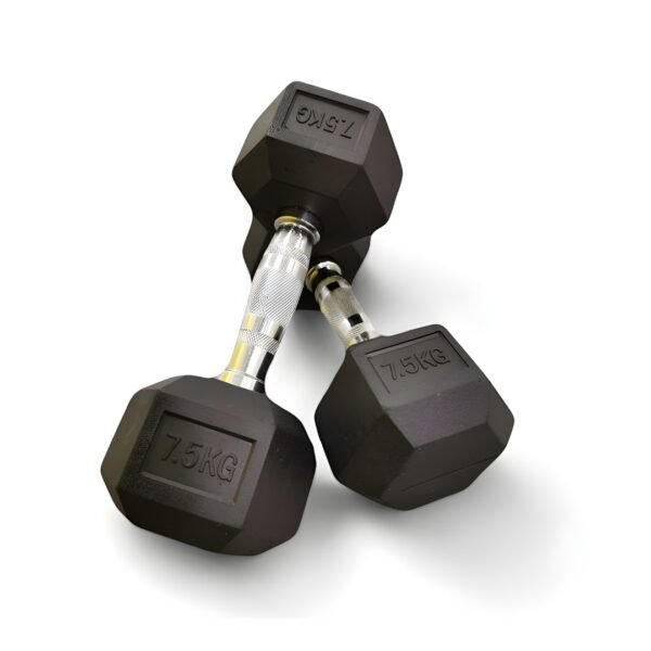 halteres hexagonaux pas cher 15kg paire