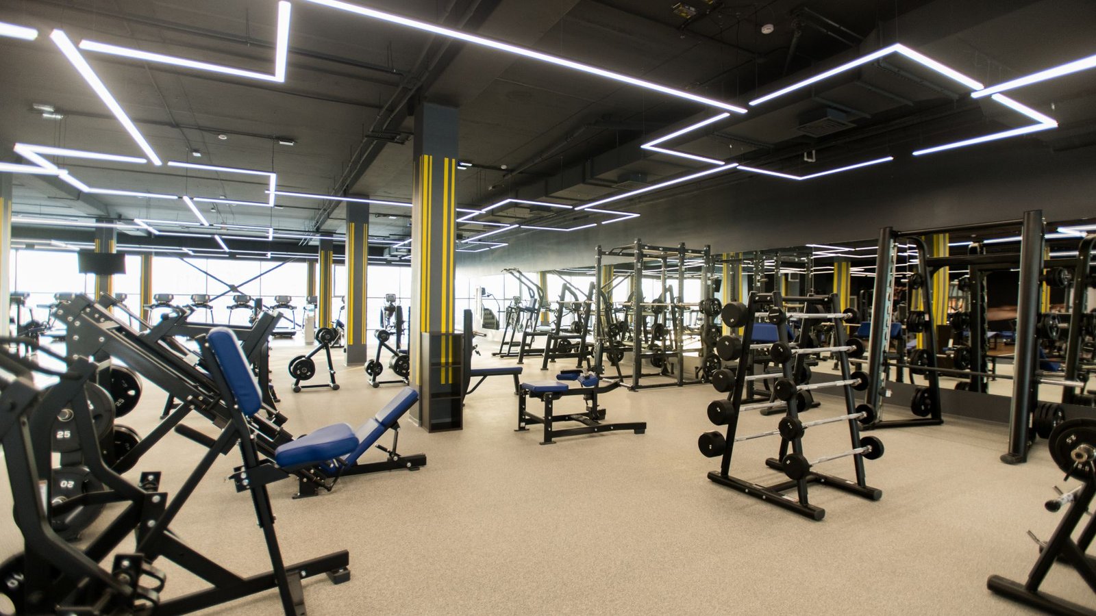 grossiste materiel musculation