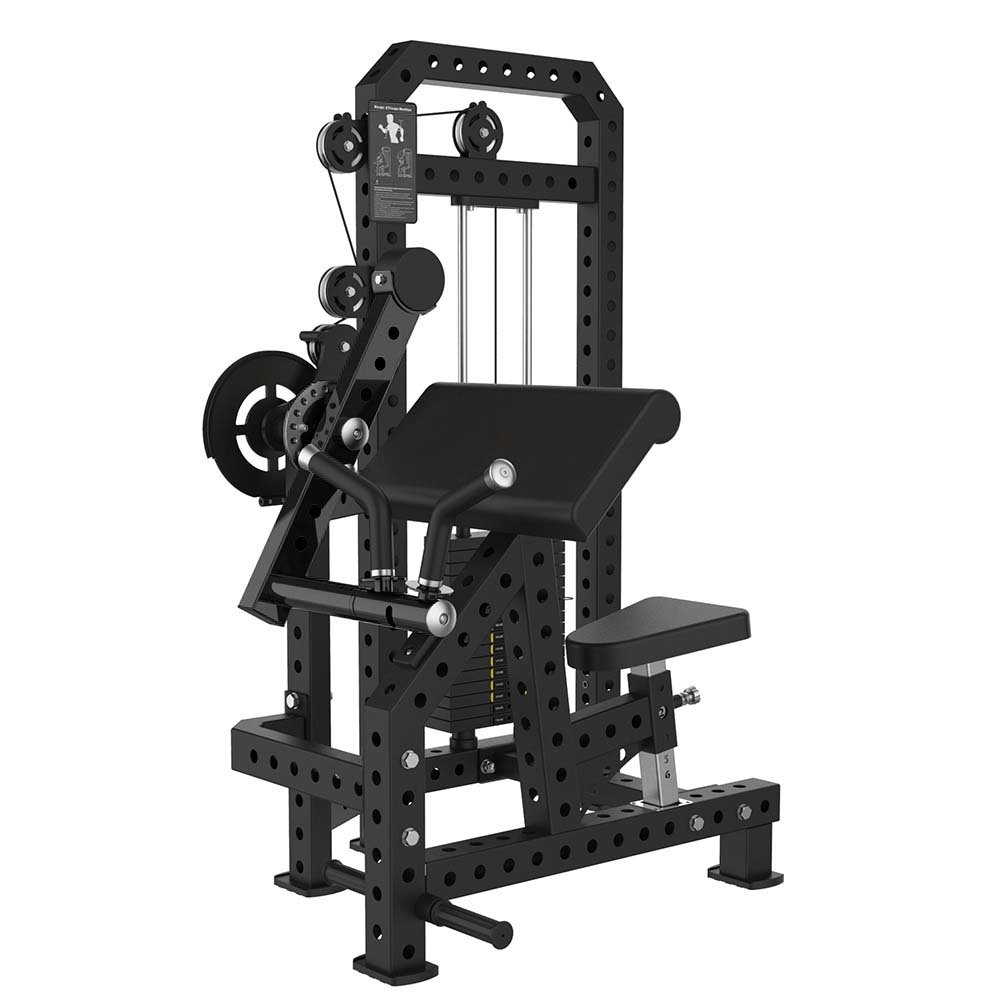 machine biceps triceps