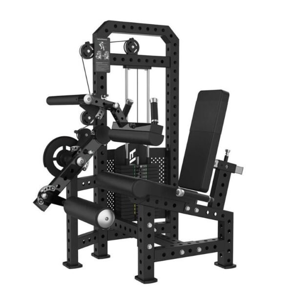 leg curl et extension